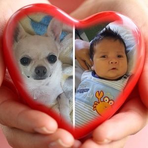 Meet your Posher, Otto r